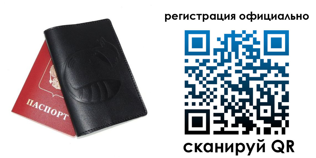 временная регистрация для всех в Палласовке